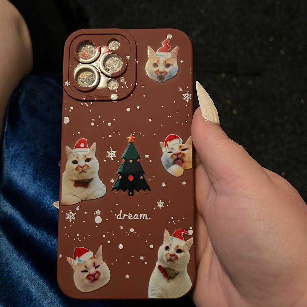 iPhone 13 Pro Max case